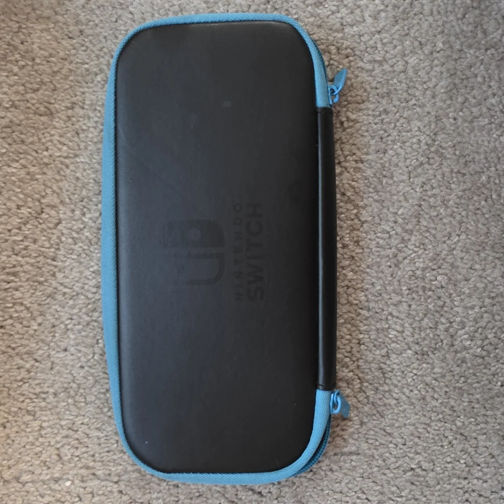 Nintendo Switch Black and Blue Carrying Case